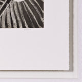 Walu 15L Etching by Mulkun Wirrpanda