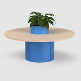 Boab Table