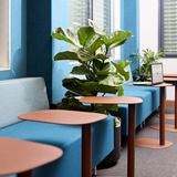 Gulbanga (Senior) Laptop Table