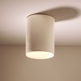 Dawn Surface Ceiling Mount