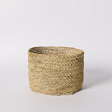 Coiled Basket by Pamela Namunjdja