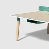 PBS Ping Pong Table