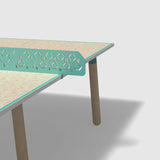 PBS Ping Pong Table