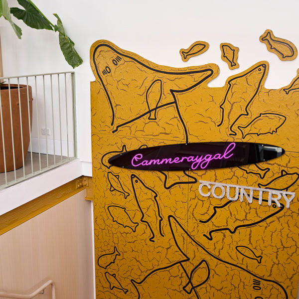 Signed Stone Country mural by Blak Douglas