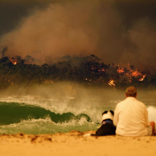 Bushfire Crisis: Take Action and be Heard