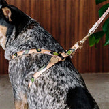 Nice Digs Animal Evergreen Harness