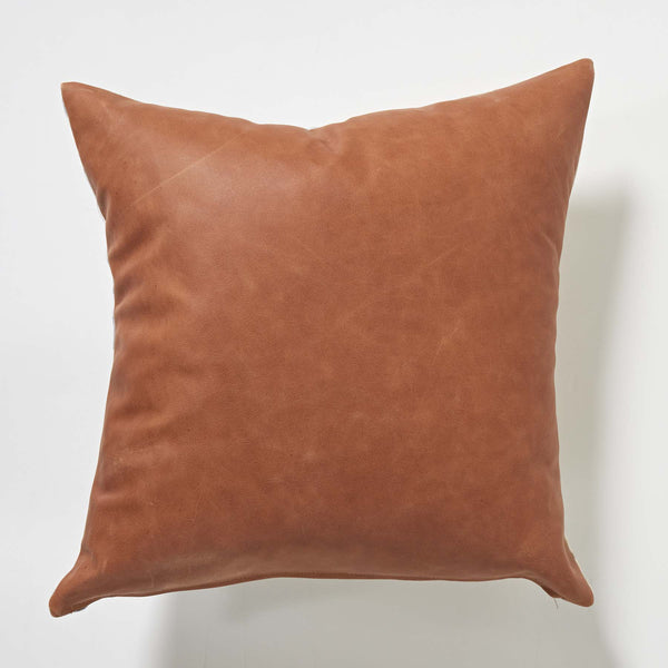 Dali Dyalgala Dillybag 3 Scatter Cushion by Regina Wilson