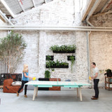 PBS Ping Pong Table