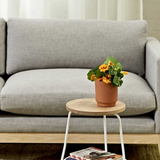 Classic 2 Seater Sofa