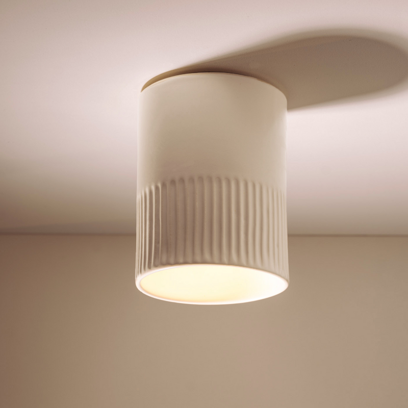 Day Surface Ceiling Mount