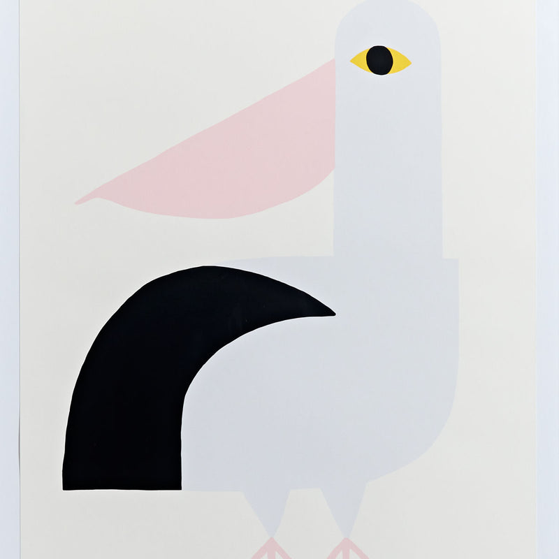 Australian Pelican by Edan Azzopardi