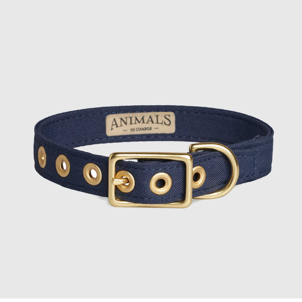 All Weather Collar - Navy